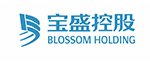 宝盛控股